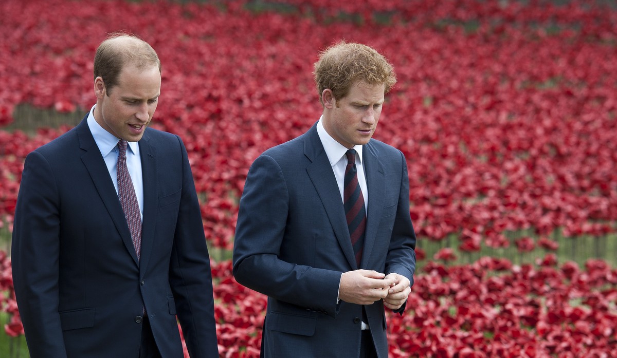 epa08116537 (FILE) - Britain's Prince William, Duke of Cambridge (L) and Prince Harry, Duke of Sussex, (R) walk through a sea of red poppies inside the moat at the Tower of London in London, Brit ...