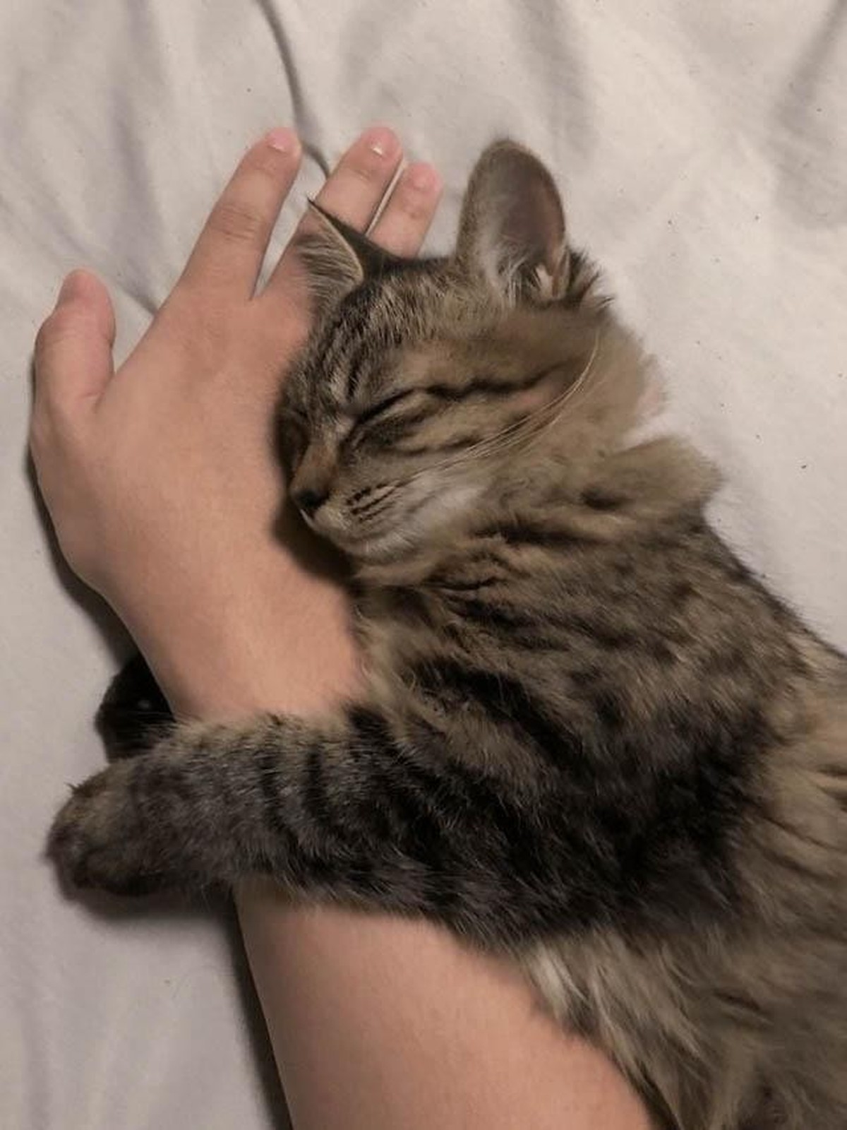 cute news tier katze

https://www.reddit.com/r/CatsBeingCats/comments/1i6n9iz/i_cant_believe_i_caught_this_moment_of_us/