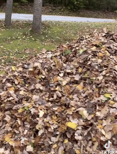 Animiertes GIF