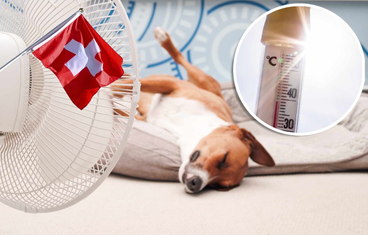 Canicule: 9 conseils pour rester au frais à la maison
