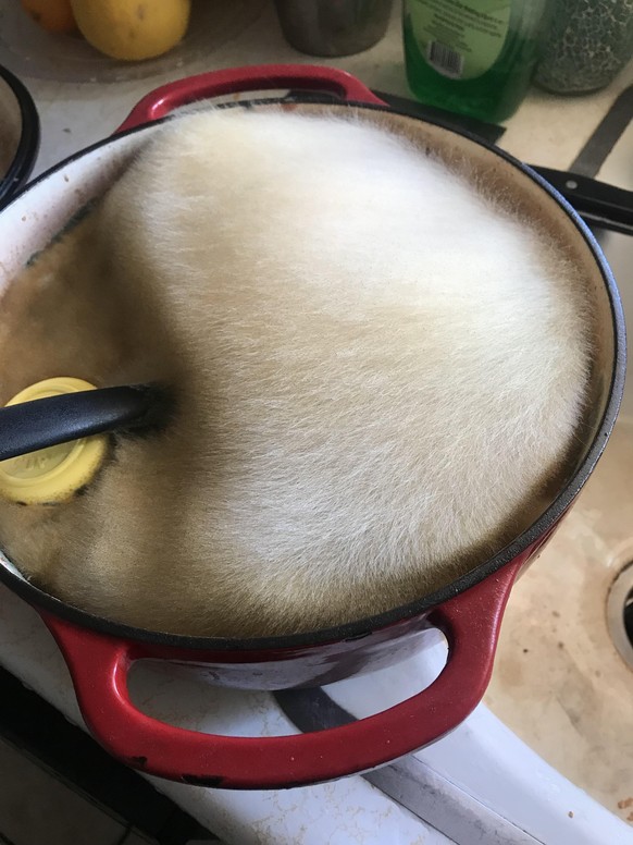Mold in the pan