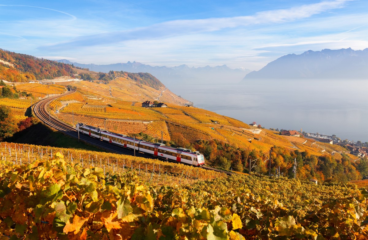 lavaux