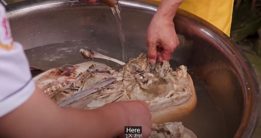 chef wang gang china chinesische küche kantonesisches essen food kochen youtube frosch ratte stierkopf salamander https://www.youtube.com/channel/UCg0m_Ah8P_MQbnn77-vYnYw