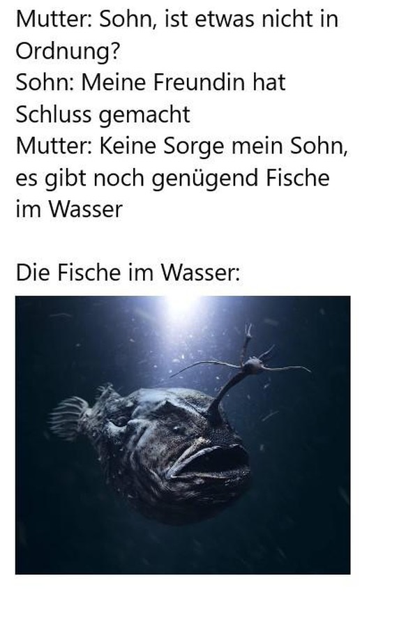 Seltener Fussballfisch sorgt in Kalifornien für Staunen\n.