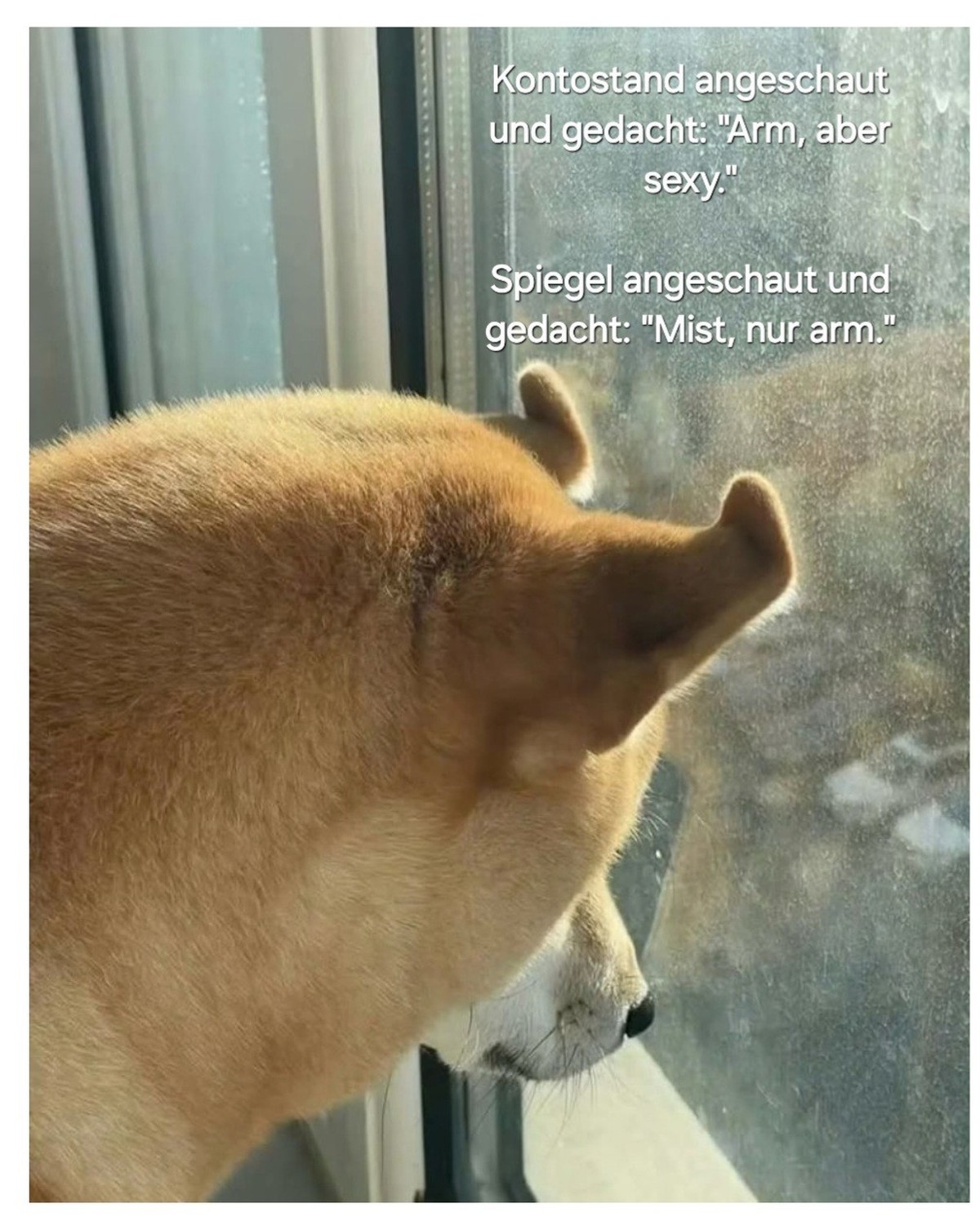 Ein bisschen Spass gefällig? Da helfen nur diese herzigen Tierbilder\nHab ich zwar schon im PiDi gepostet, aber bei CN passt er auch.