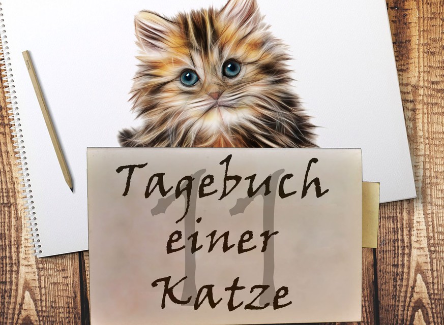 «Liebes Tagebuch, ich habe heute meine erste Drogenerfahrung gemacht.»