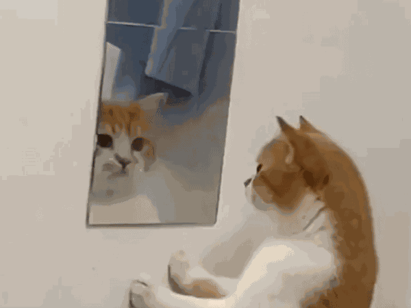 Animiertes GIF