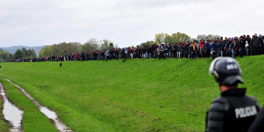 Flüchtlinge erreichen die slowenische Grenze bei Brezice (19. Oktober 2015).