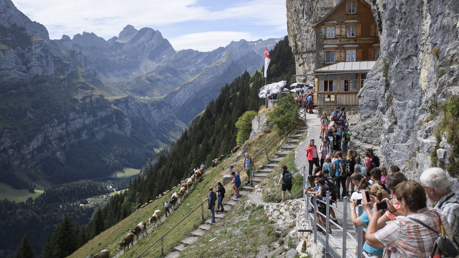 BILDPAKET -- ZUM JAHRESRUECKBLICK 2018 AUGUST, STELLEN WIR IHNEN HEUTE FOLGENDES BILDMATERIAL ZUR VERFUEGUNG -- Cattle is driven down from the Altenalp to the valley, past the world famous &quot;Aesch ...