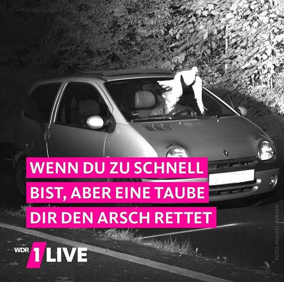 Fönn! Internet! Picdump!
Armando dieser Teufelskerl... 😏