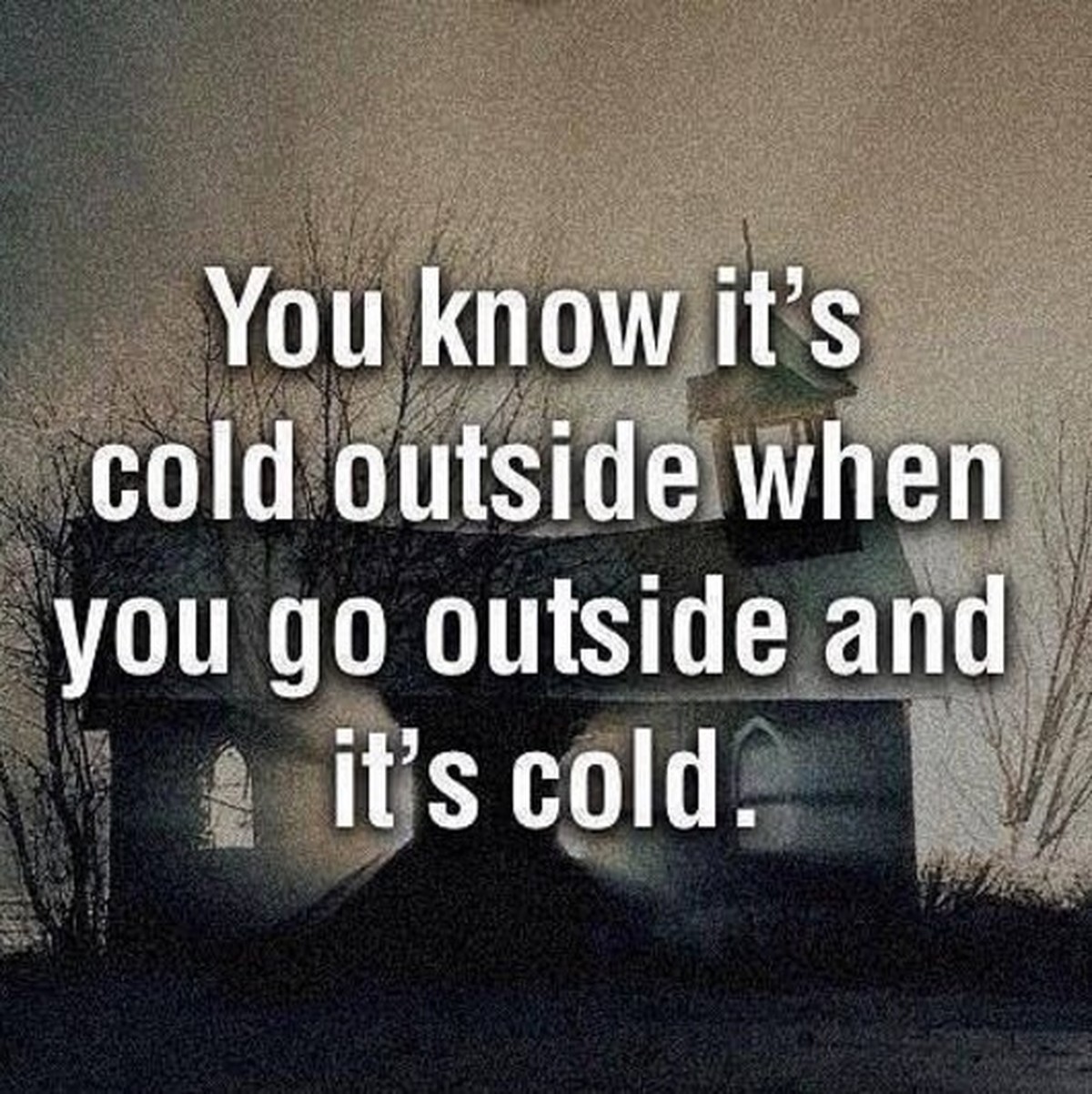 Winter Memes