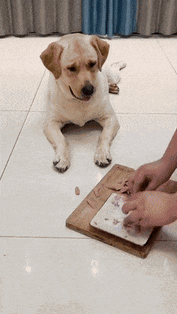 Animiertes GIF