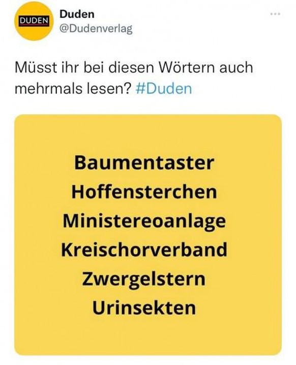 Bevor du verzweifelst: Baum-EntAster, Hof-Fensterchen, Mini-Stereoanlage, Kreis-Chor-Verband, Zwerg-Elstern, Ur-Insekten