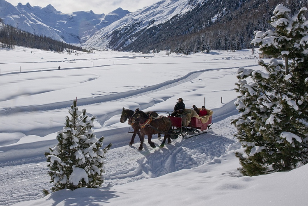 Promenade romantique à deux à travers l'Engadine enneigée.