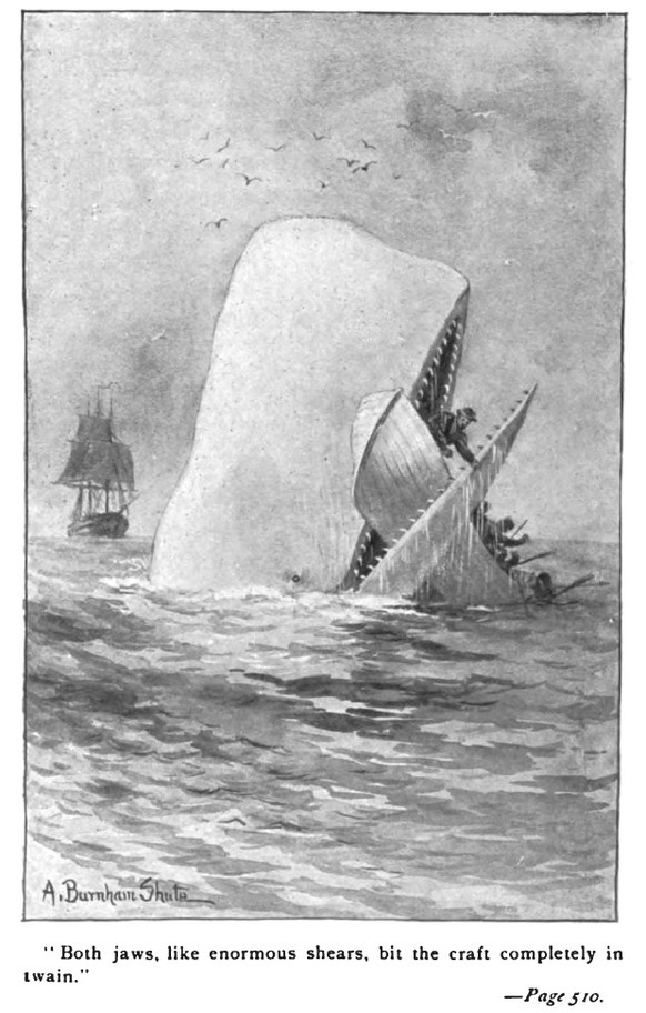 moby dick the whale hermann melville https://en.wikipedia.org/wiki/Moby-Dick#/media/File:Moby_Dick_p510_illustration.jpg