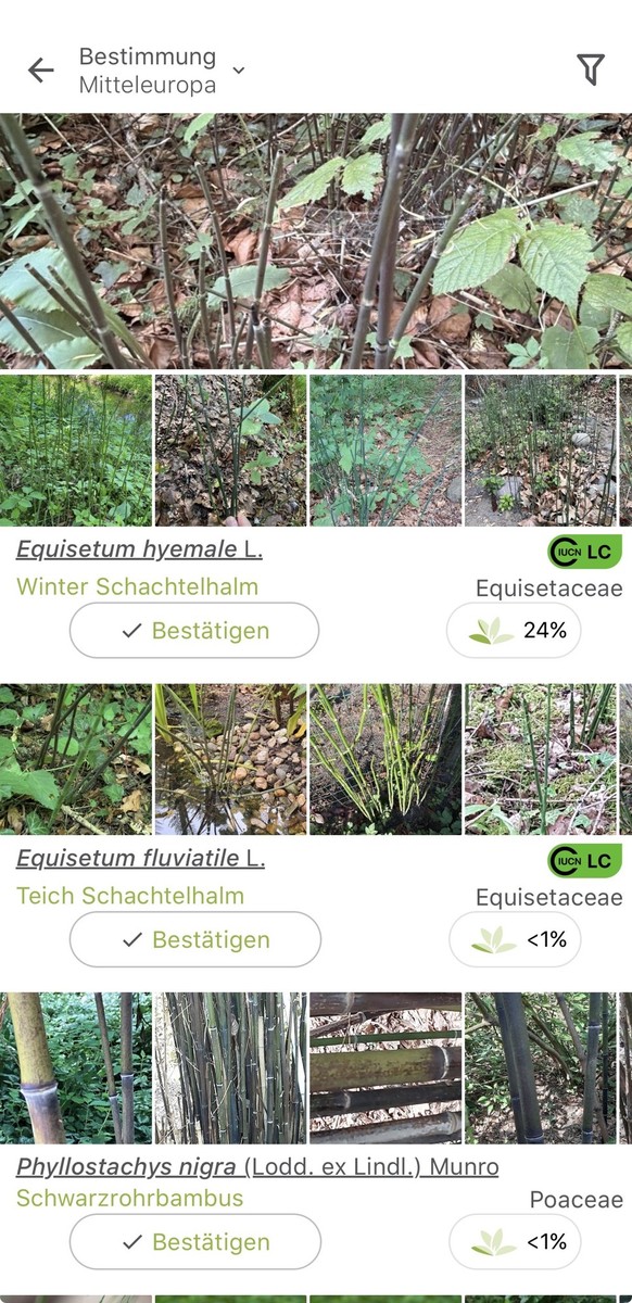 PlantNet Apps wandern