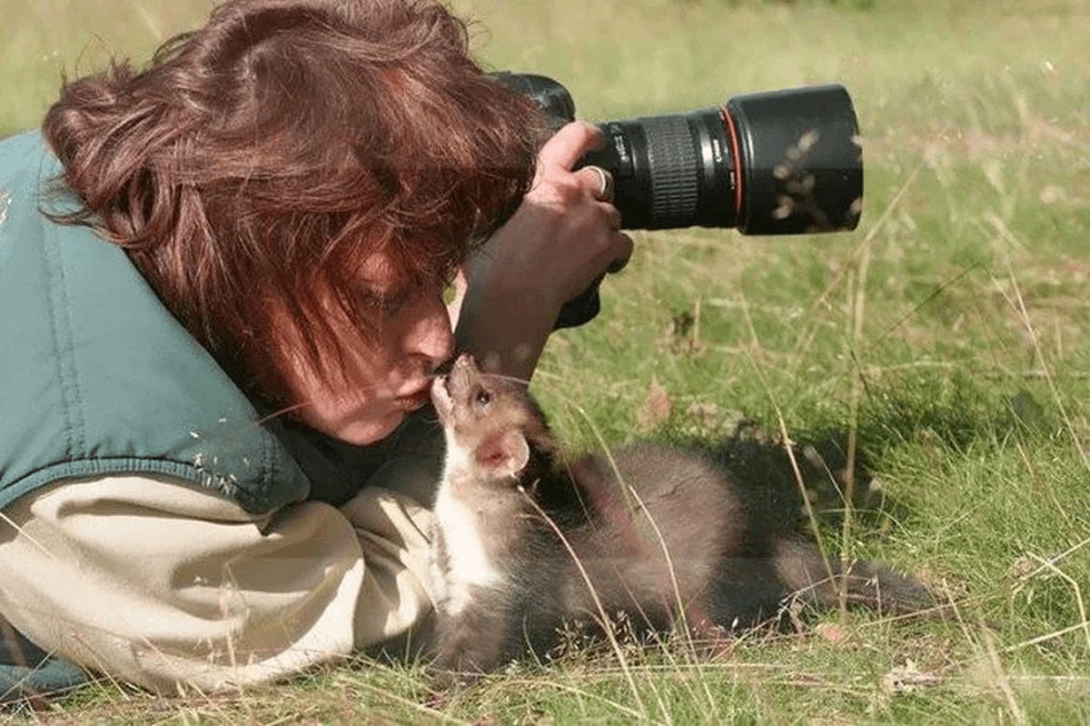 cute news tier fotograf

https://www.reddit.com/r/FunnyAnimals/comments/1h5sw40/animals_disturbing_photographers/
