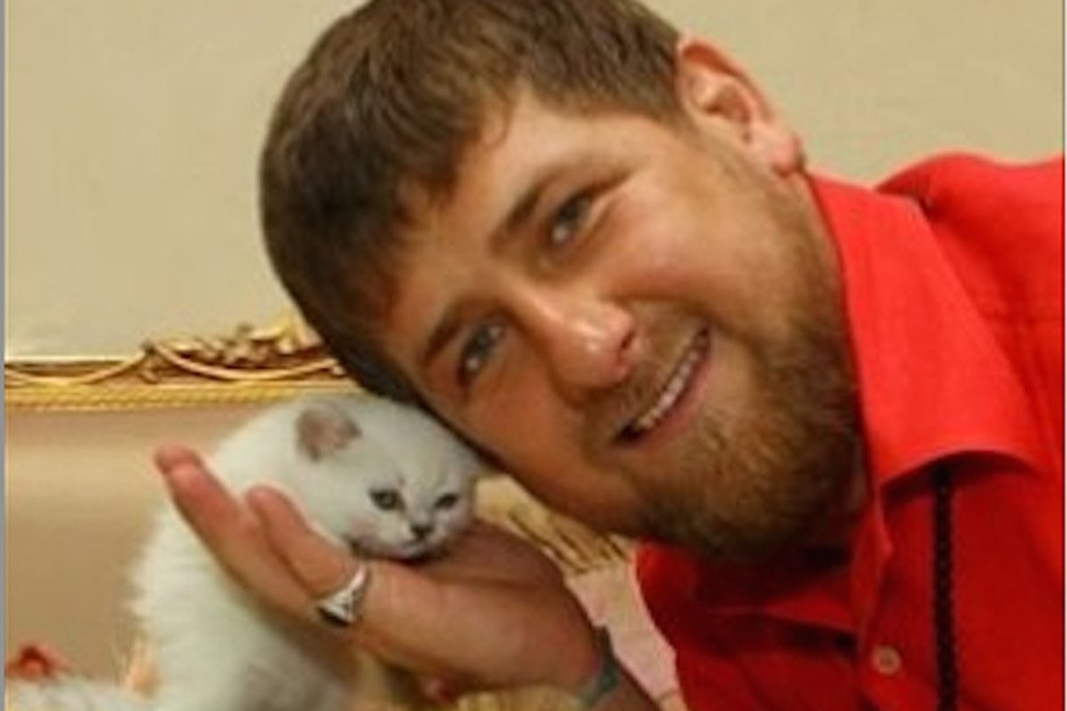 Kadyrow mit Katze
https://twitter.com/realiTedverlust/status/1782477882511491231/photo/4