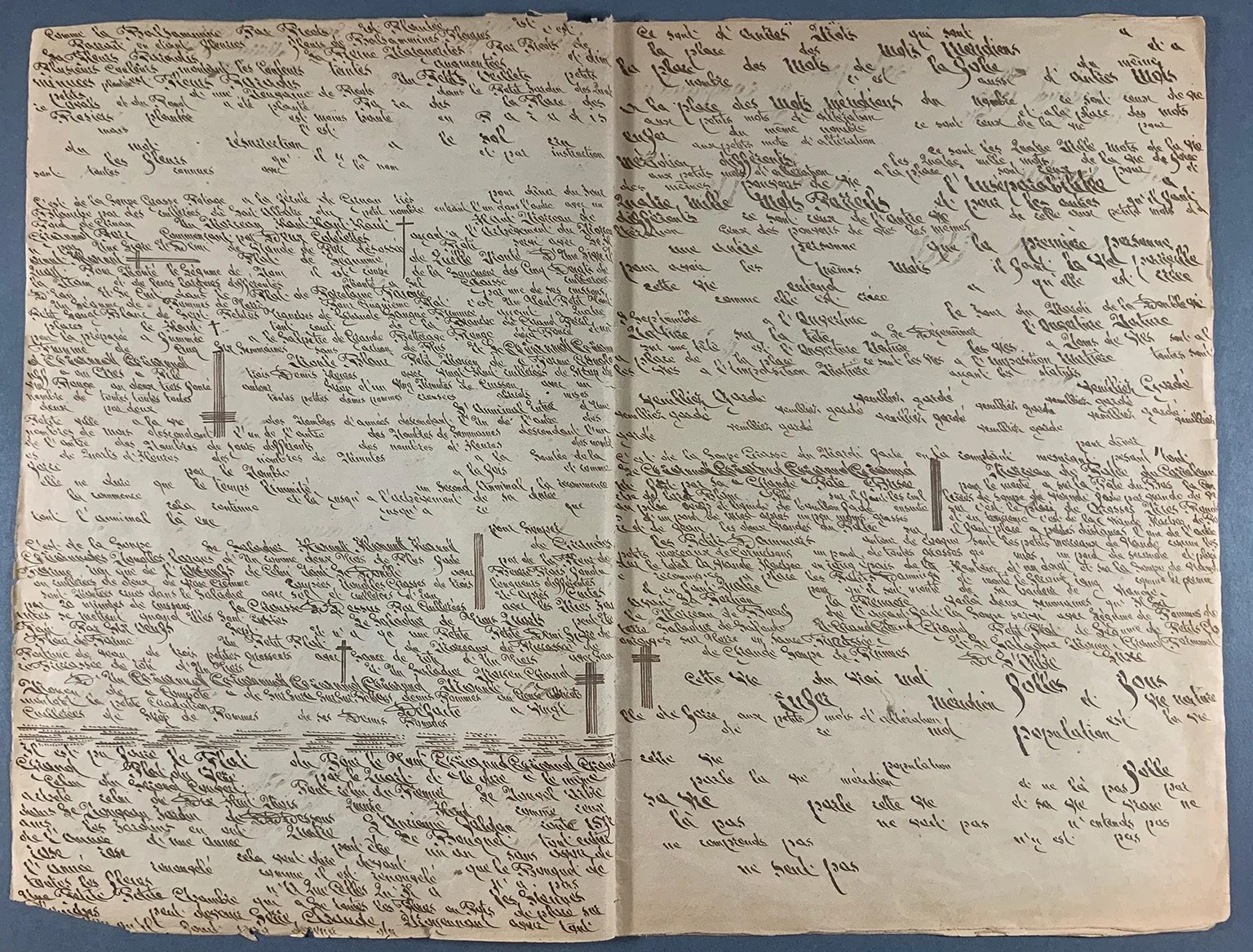 Constance Schwartzlin-Berberat, Journal zwischen 1891 und 1909.