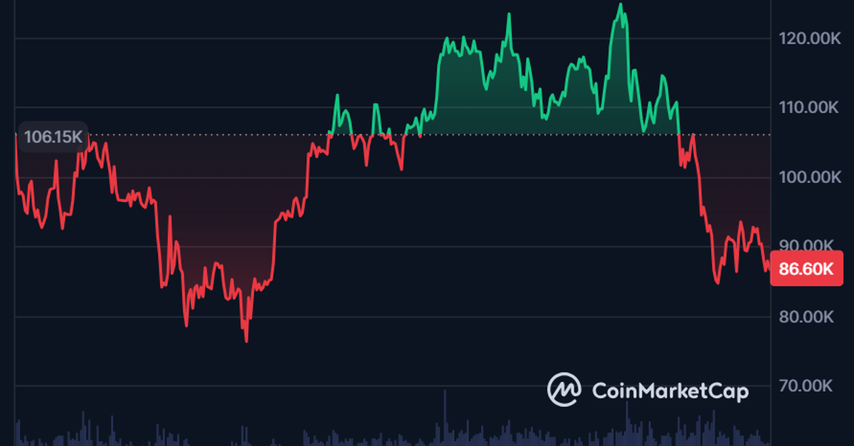 Bitcoin-Einbruch-Warum-die-Schweizer-Kryptoszene-jetzt-auf-junge-Erben-hofft