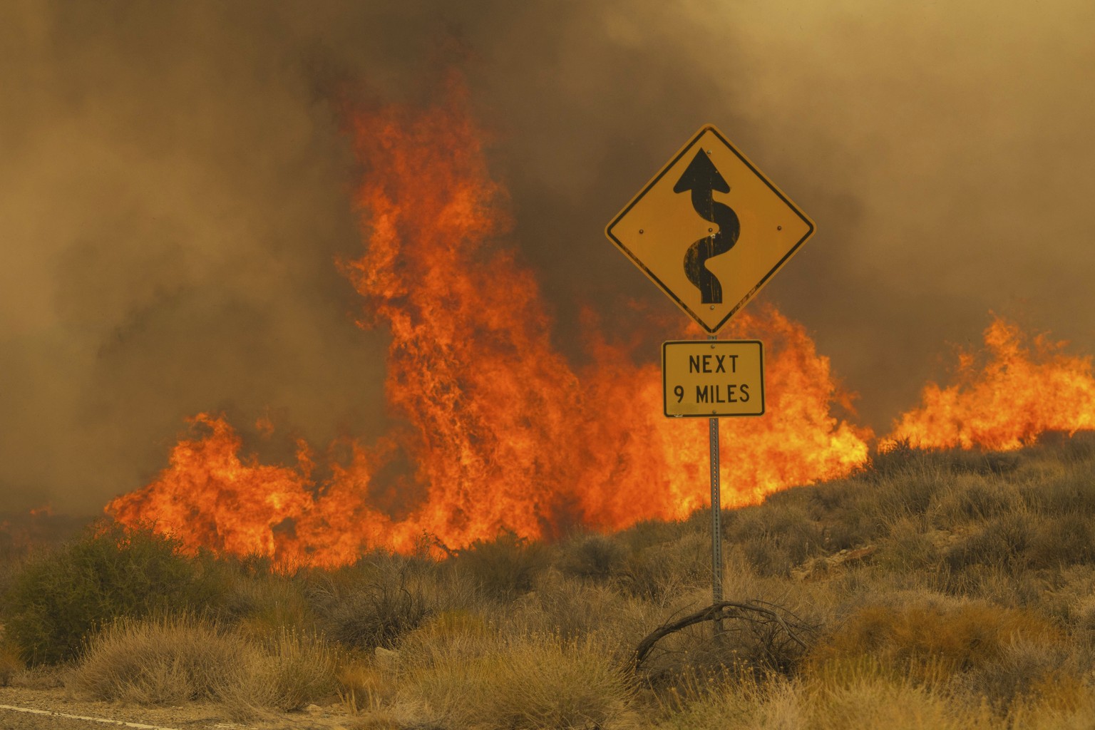 Flames rise from the York Fire on Ivanpah Rd. on Sunday, July 30, 2023, in the Mojave National Preserve, Calif. Crews battled ?fire whirls? in California?s Mojave National Preserve this weekend as a m ...