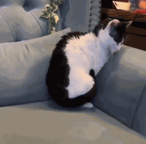 Animiertes GIF