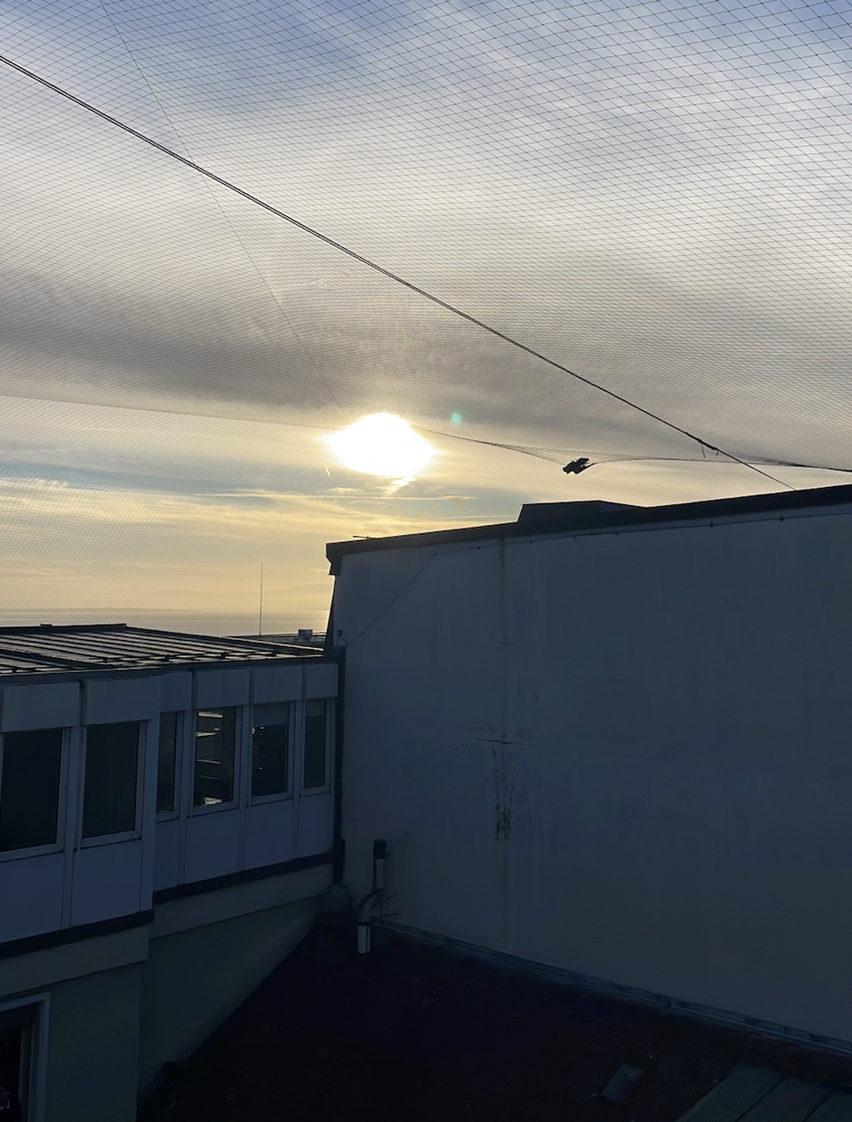 Sauvetage d'un pigeon à Lausanne (VD), jeudi 22 octobre 2026.
