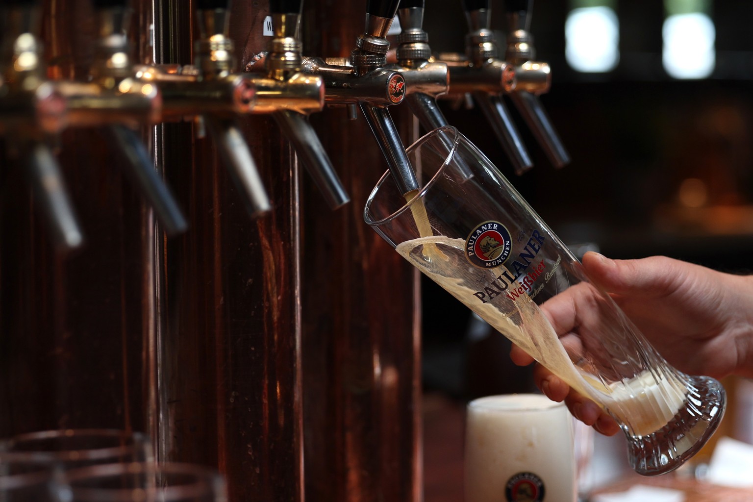 epa10781519 A barman pours white beer at the Paulaner Nockherberg Restaurant in Munich, Germany, 02 August 2023. Paulaner is one of the six breweries which provide beer for the Oktoberfest beer festiv ...