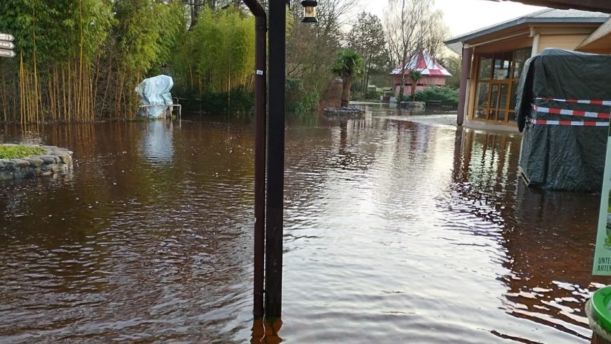 Hochwasser im serengeti-park