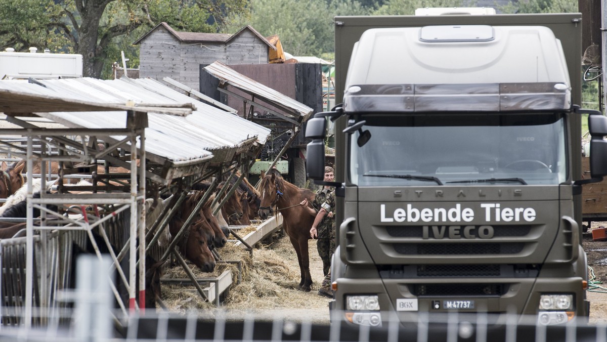 epa06148019 (FILE) Military personnel inspect the farm of a suspected animal abuser Ulrich K. in Hefenhofen, Switzerland, 08 August 2017 (issued 17 August 2017). Police arrested the breeder and seized ...
