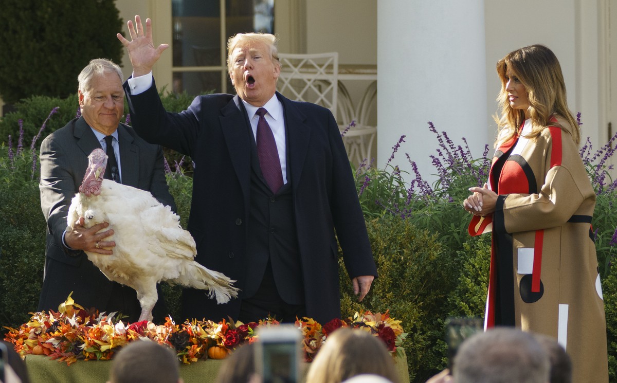 President Donald Trump pardons "Peas", as he and first lady Melania Trump participate in a ceremony to pardon the National Thanksgiving Turkey in the Rose Garden of the White House in Washin ...