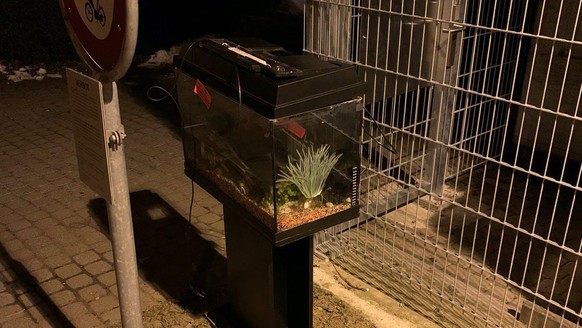 Mitten auf dem Trottoir: ein Aquarium mit mehreren Zierfischen drin.