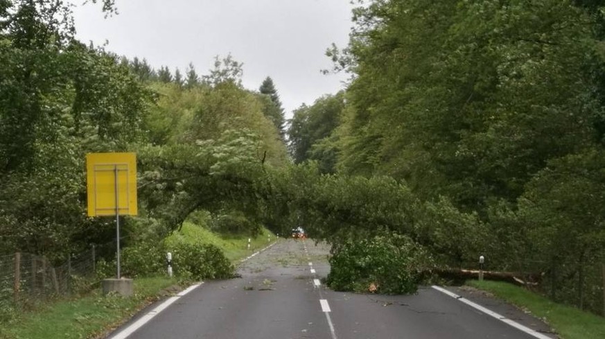 Heute Morgen sind auf der Hauptstrasse H5 zwischen Wildegg und Rupperswil Bäume umgestürzt. Die Folge: Stau und auf der Fahrbahn wendende Autos und Lastwagen. (Bild: Marius Rinderknecht/az