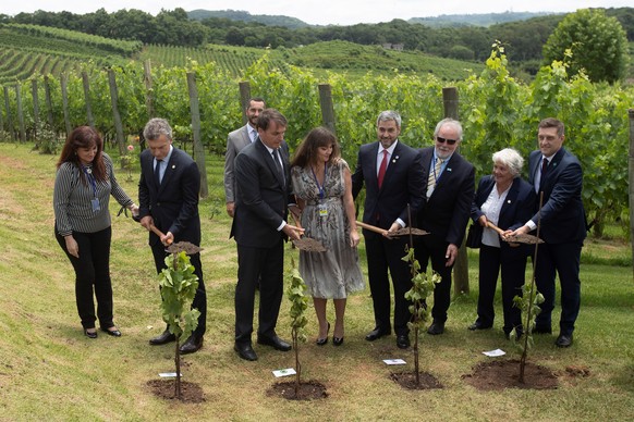 epa08046992 Argentine President Mauricio Macri (2-L), Brazilian President Jair Bolsonaro (3-L), Paraguayan President Mario Abdo (4-R) and Uruguayan Vice President Lucia Topolansky (2-R), plant trees a ...