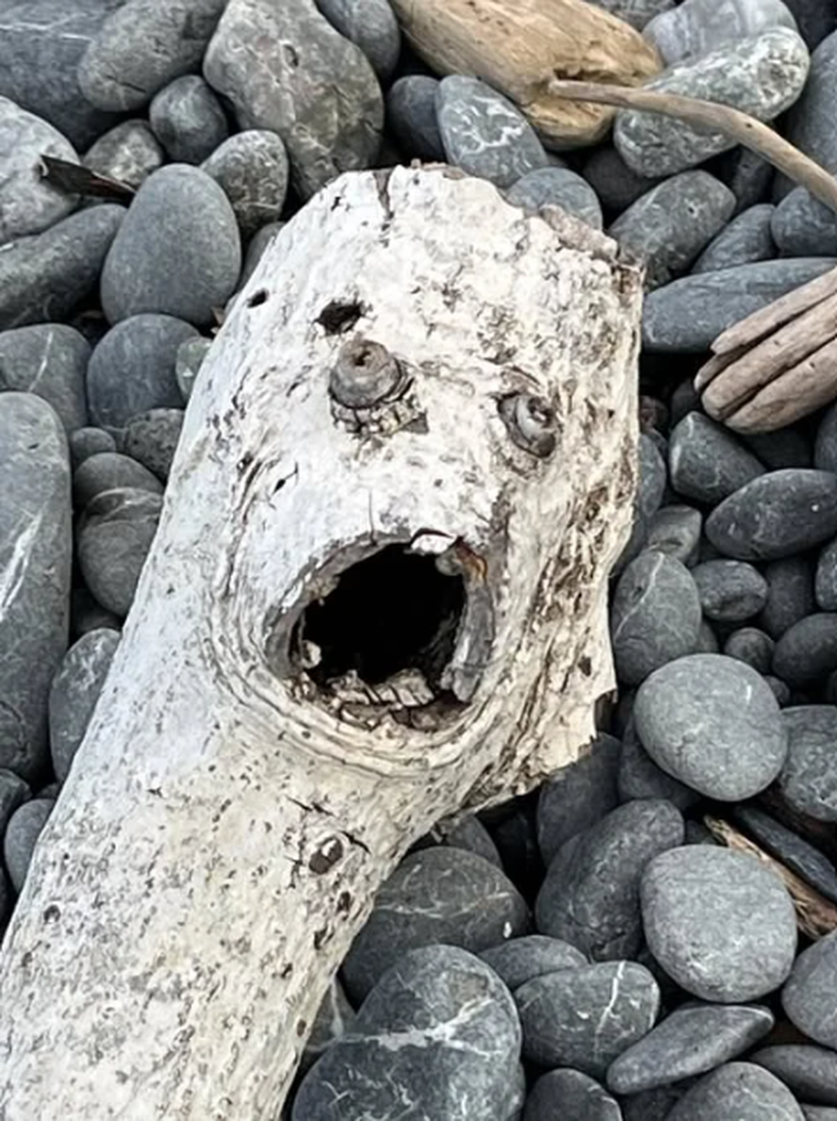 Pareidolie: Lustige Dinge mit Gesicht