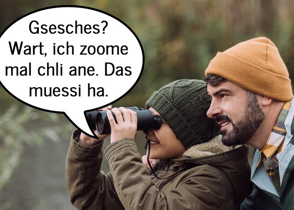 Bild