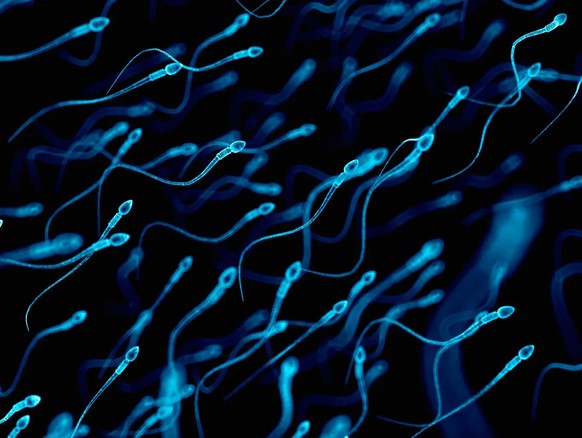 That’s how dangerous your sperm is if you have your cell phone in your pocket