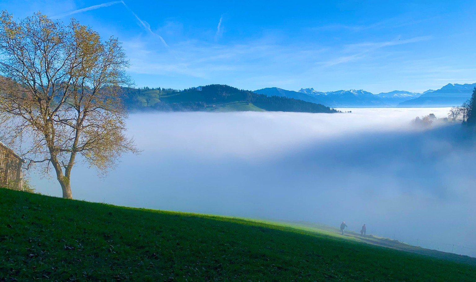 Farneralp Rauszeit kurze Nebelwanderungen