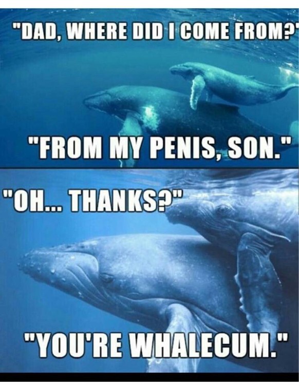 Diese 9 Humor-Typen lachen ab jedem Sch****
Blauwale sind schon toll


