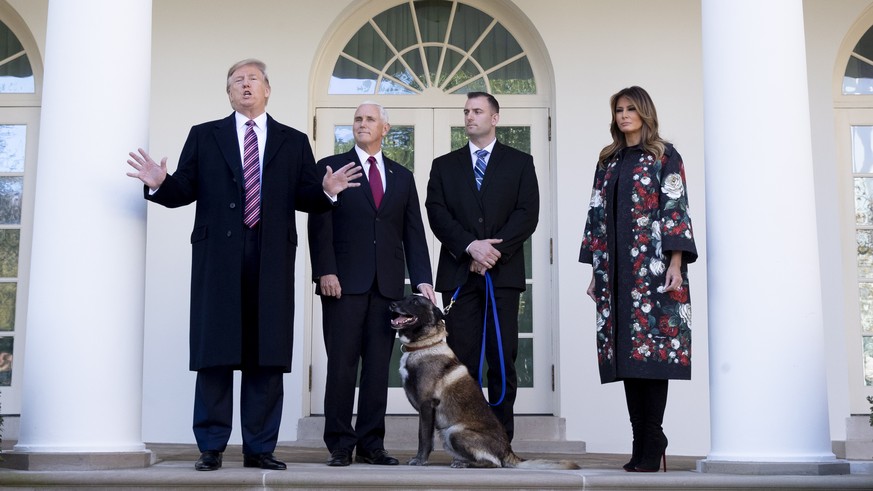 Nach Tod von alBagdadi Donald Trump ehrt Hund Conan watson