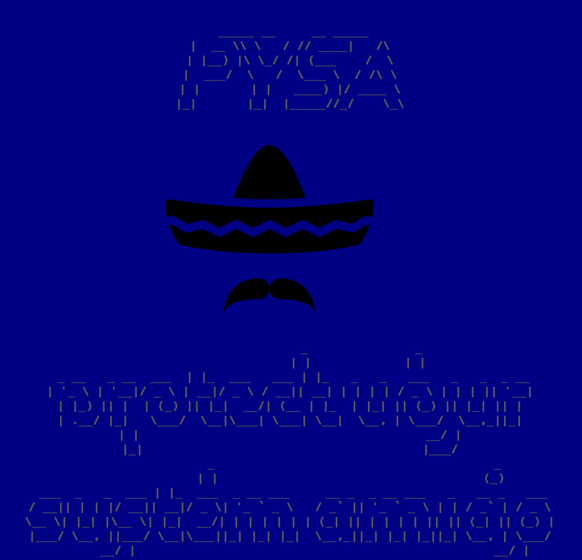 Eines muss man den Hackern lassen, sie haben Humor: PYSA steht für «Protect Your System, Amigo».