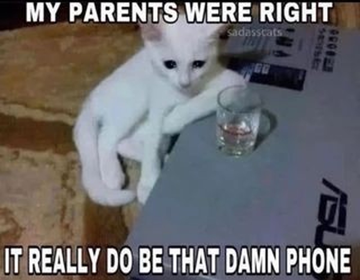 Phone Meme