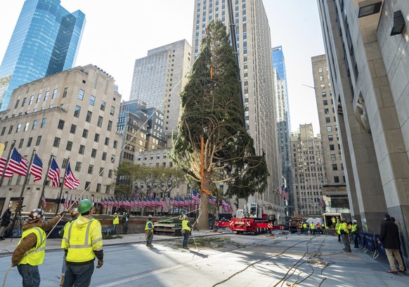 IMAGE DISTRIBUTED FOR TISHMAN SPEYER - The 2020 Rockefeller Center Christmas tree, a 75-foot tall, 11-ton Norway Spruce from Oneonta, N.Y., is craned into place, Saturday, Nov. 14, 2020, in New York.  ...