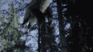 Animiertes GIF