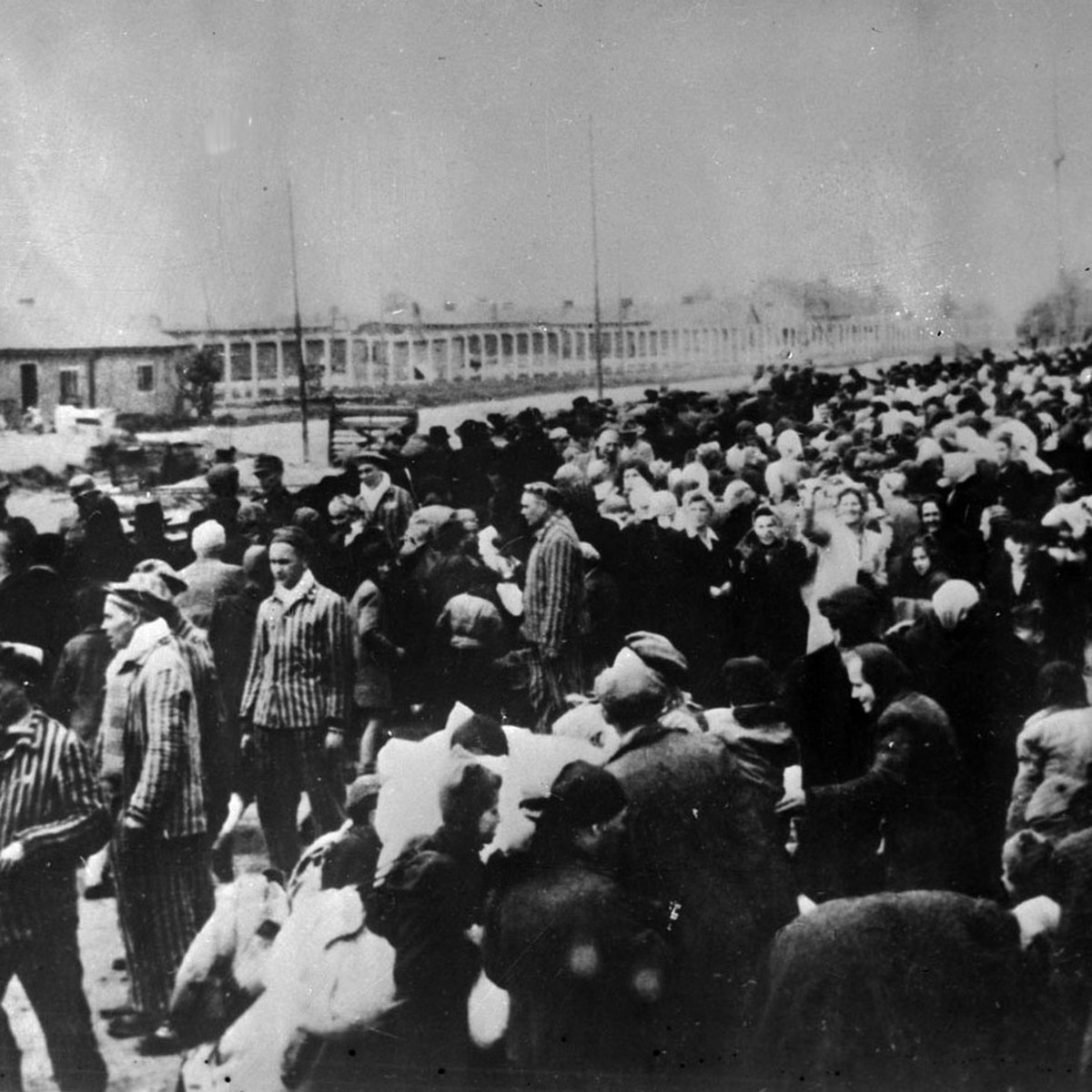 Eine Zugladung von Opfern, die fuer das Konzentrationslager in Auschwitz bestimmt sind. Die Reichsbahn hat eine wesentliche Rolle bei der Deportation von Millionen Opfern des Holocausts in die Todesla ...
