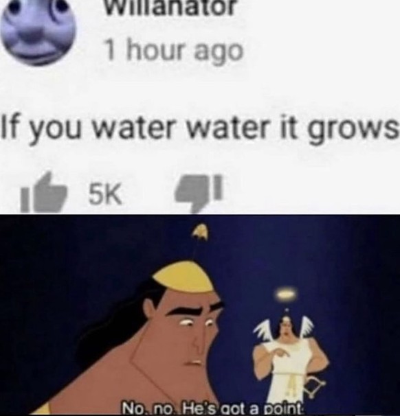 Picdump Meme Wasser