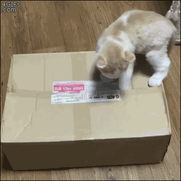 Animiertes GIF