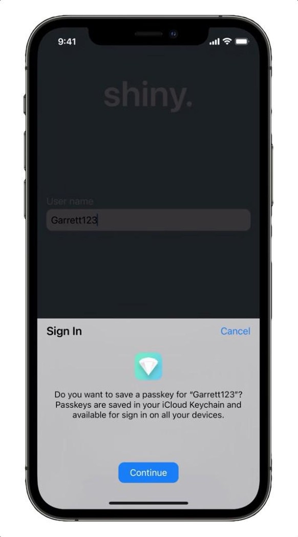 Man gibt einen Benutzernamen ein und tippt auf Anmelden, dann fragt das System, ob man einen «Passkey» im eigenen iCloud-Schlüsselbund speichern will. Wenn man auf Weiter tippt, wird automatisch der P ...