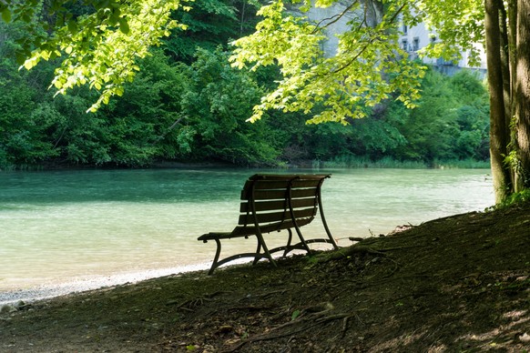 shaded and empty park bench on an idyllic and pictruresque riverbank in cool lush summer forest Horizontal view of a shaded and empty park bench on an idyllic and pictruresque riverbank in cool lush s ...