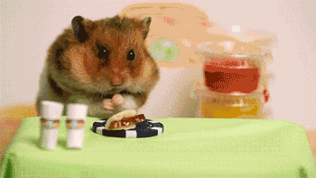 Hamster
Cute News